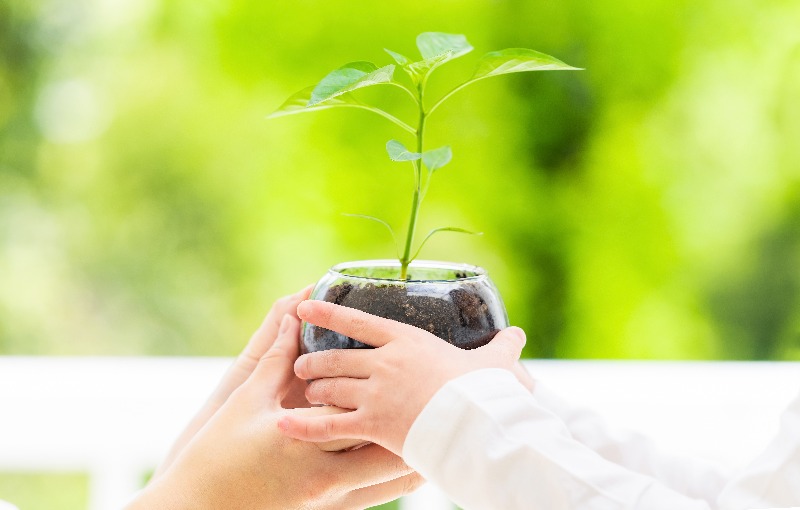 sustainable_fashion_news
